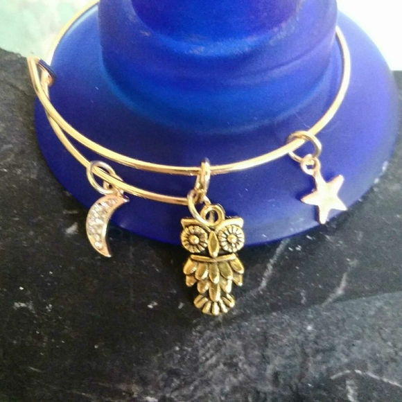 Expandable Charm Bracelets - Picture 5 of 16